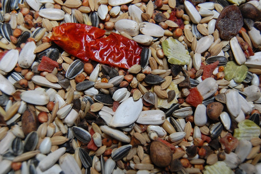 OBIE 11.6 Papegaaienzaad premium