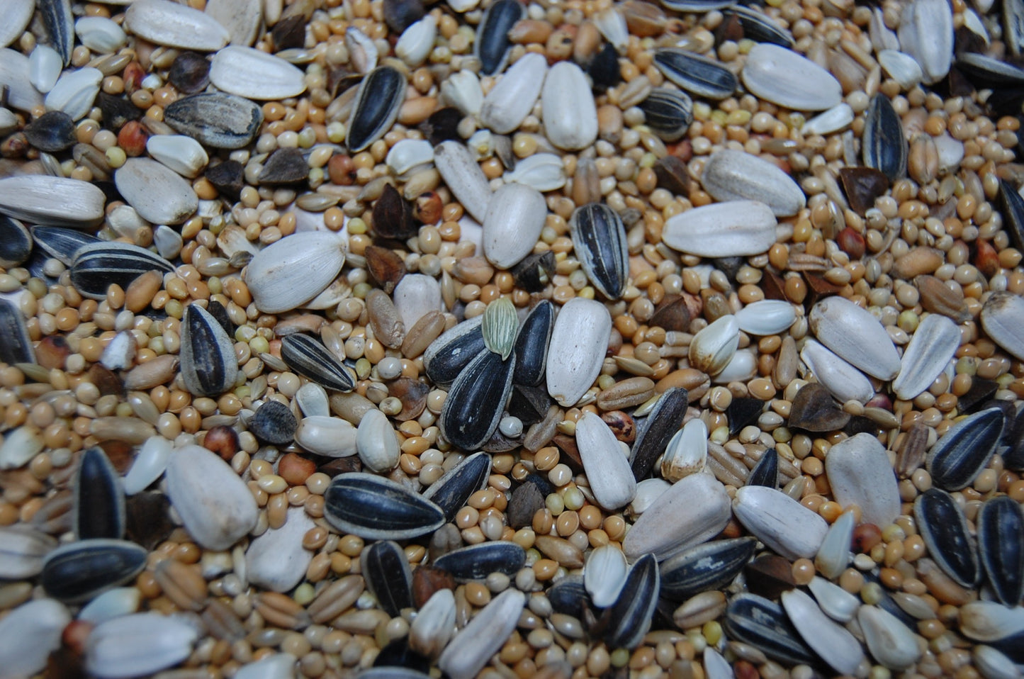 OBIE 14 Grote parkietenzaad