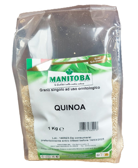 Quinoa 1kg - Manitoba