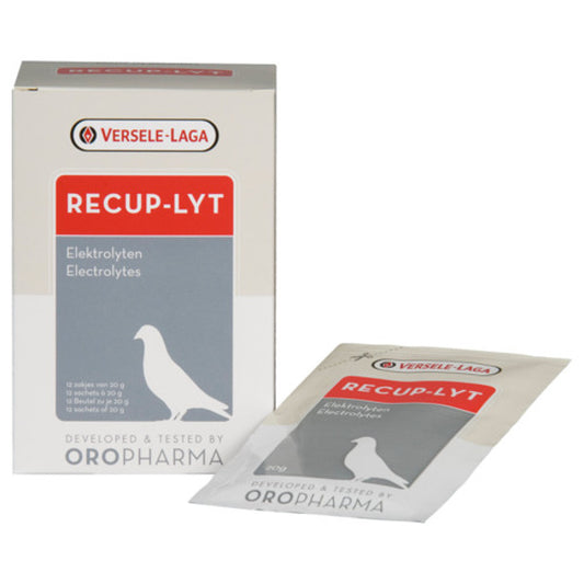 Versele-Laga Recup-lyt electrolyten