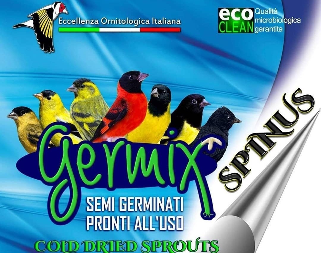 Germix voor Sijzen (Spinus)