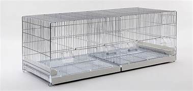 DOMUS MOLINARI UITVLIEGKOOI 120X50X58CM B2