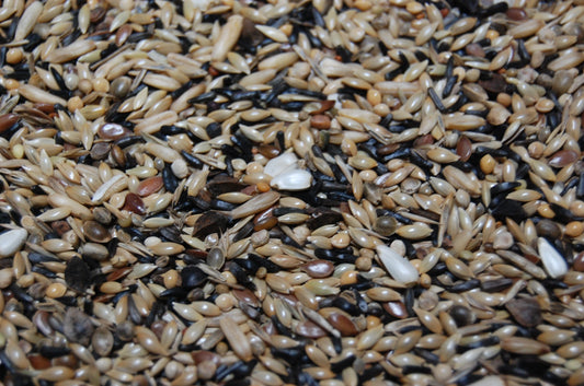 OBIE 15.1 Wildzangzaad