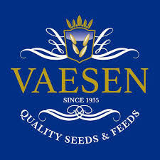 Vaesen