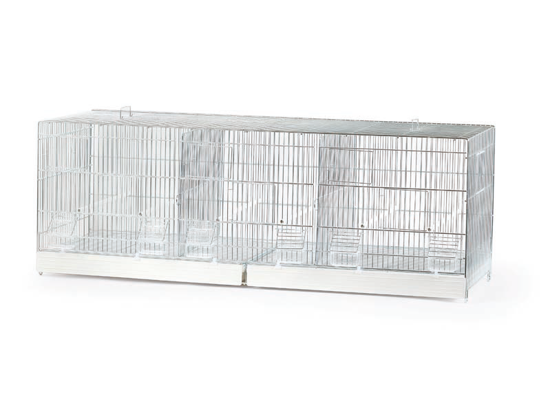 Domus Molinari Uitvliegkooi 120x40/3