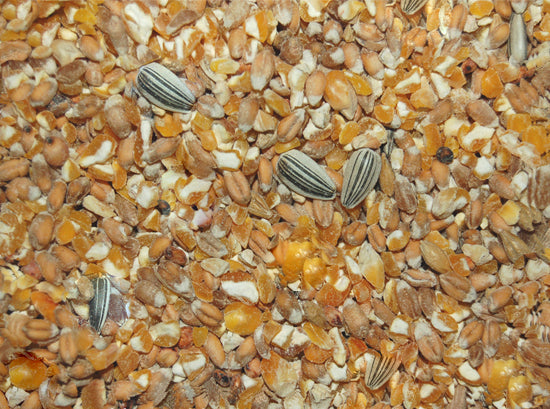 Wielink Scharrelgraan