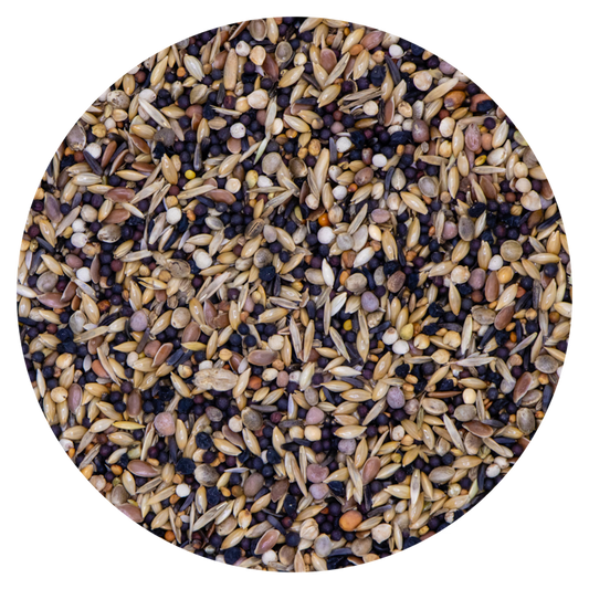 Vaesen Europese Vogels 44nr  20 kg