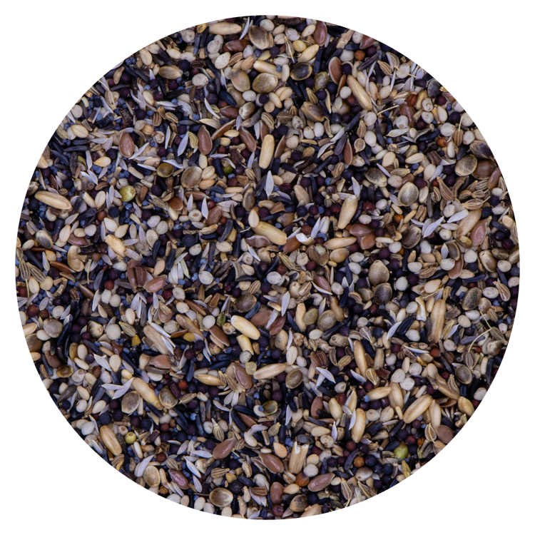 Vaesen Conditiezaad Kanaries & Europese 211 – 15 kg