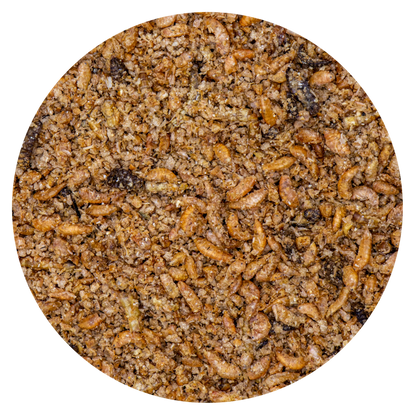 AviMax Forte Insect Patee Premium +Spirulina