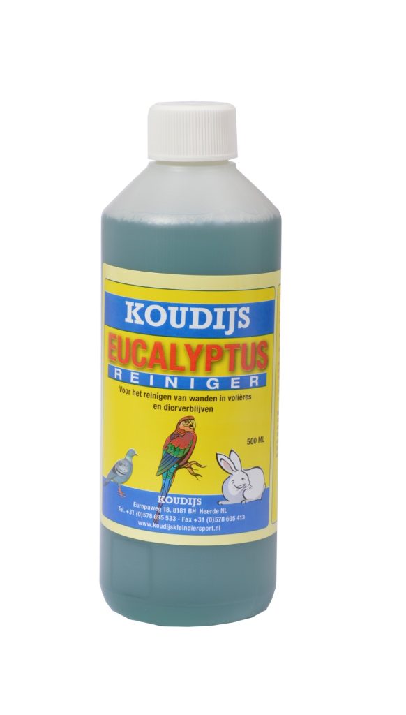 Eucalyptus Reiniger Koudijs