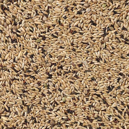 Deli Nature – Kanarie Light Nr. 65 20kg