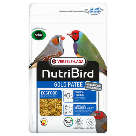 Gold Patee Tropische Vogels