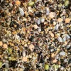 Nature Herb Bird Mix Kiemzaad Mix 3KG