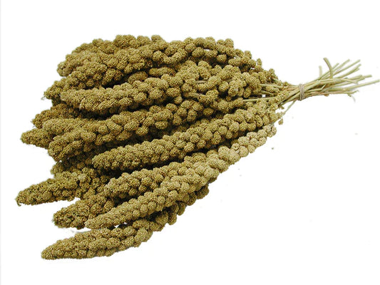 Gele Trosgierst 5 - 15 kg