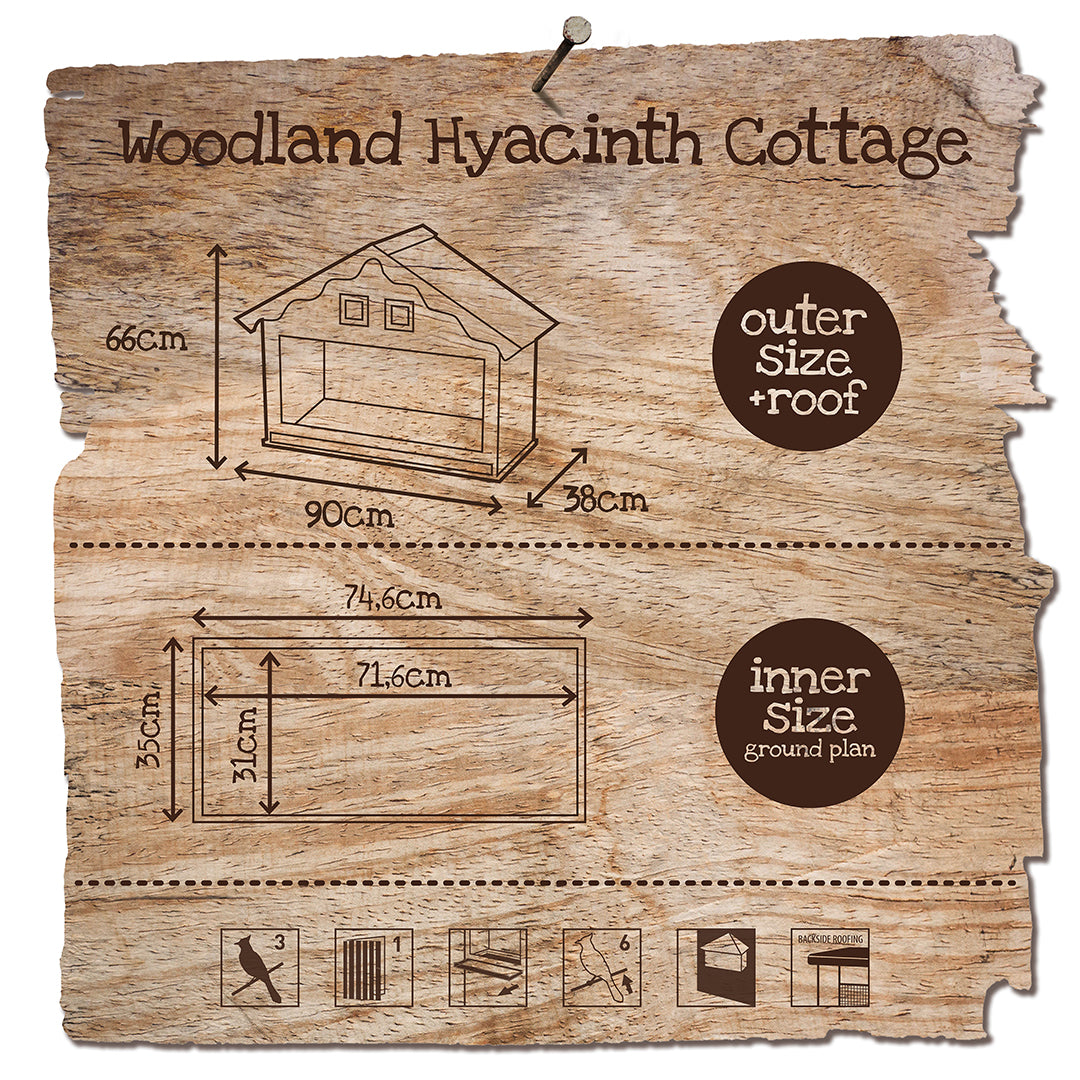 Woodland Volière Hyacinth Cottage