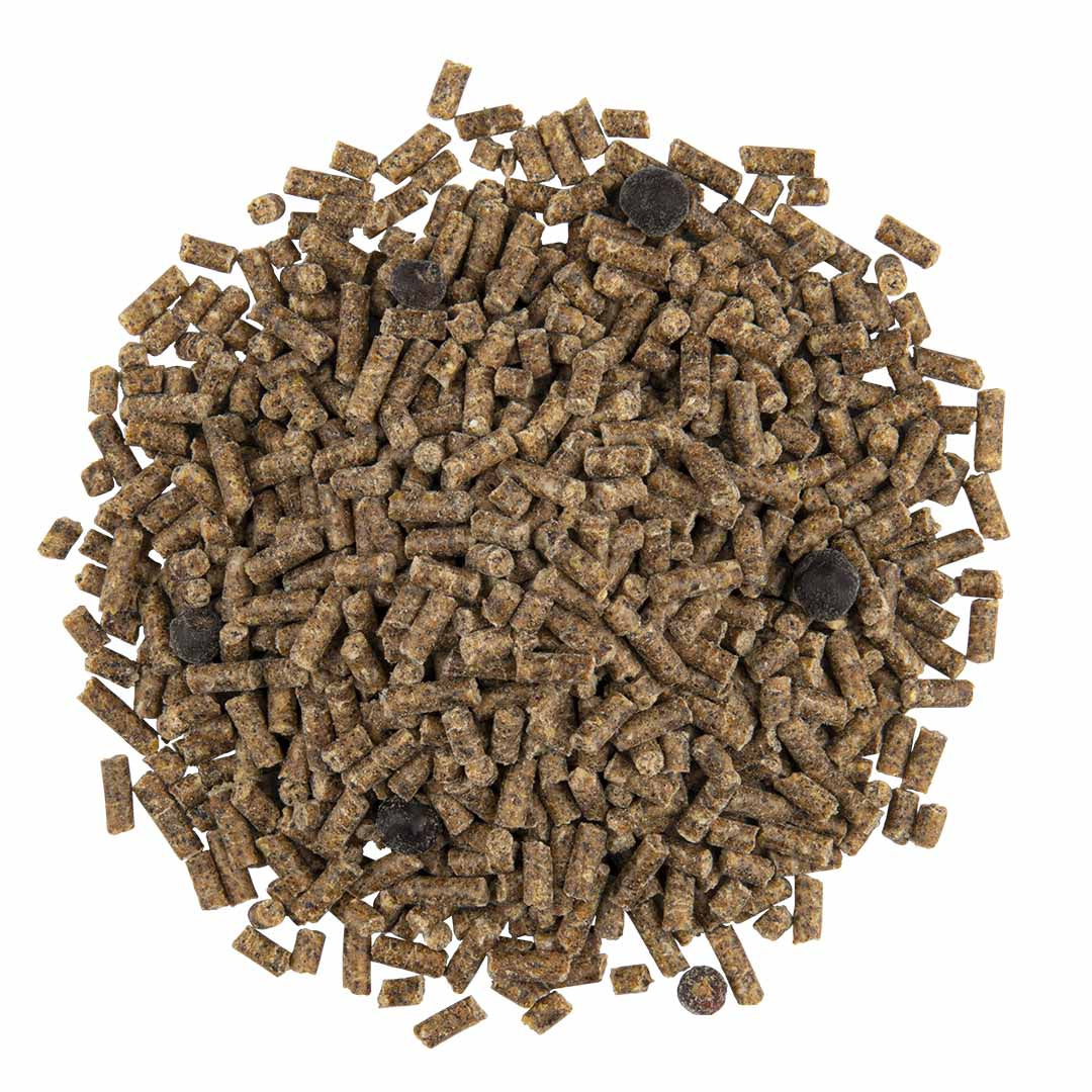 CéDé universele vogelkorrel 1 kg
