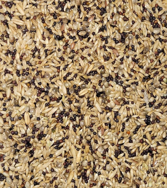 Kanarie met Raapzaad  PALOMA 20kg