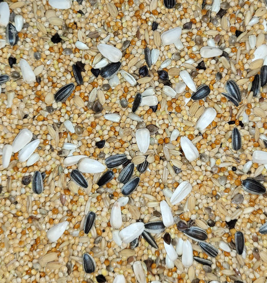 Grote Parkiet Promo-Line PALOMA 20kg