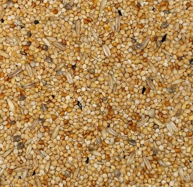 Kleine Parkiet Standaard Promo-Line  POLOMA 20kg