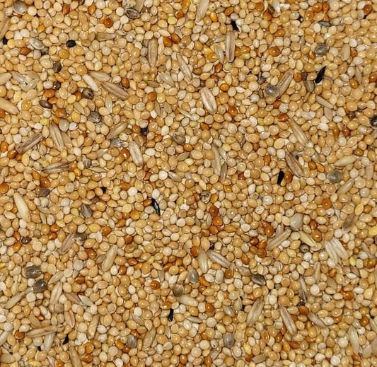 Kleine Parkiet Standaard Promo-Line  POLOMA 20kg