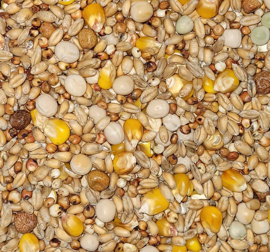 Duivenvoer Paloma 4 Seizoenen 25kg