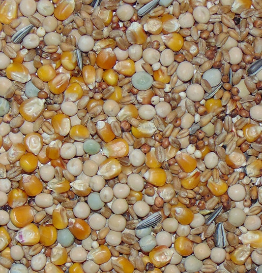 Duivenvoer Eco-Allround zonder Gerst 25kg