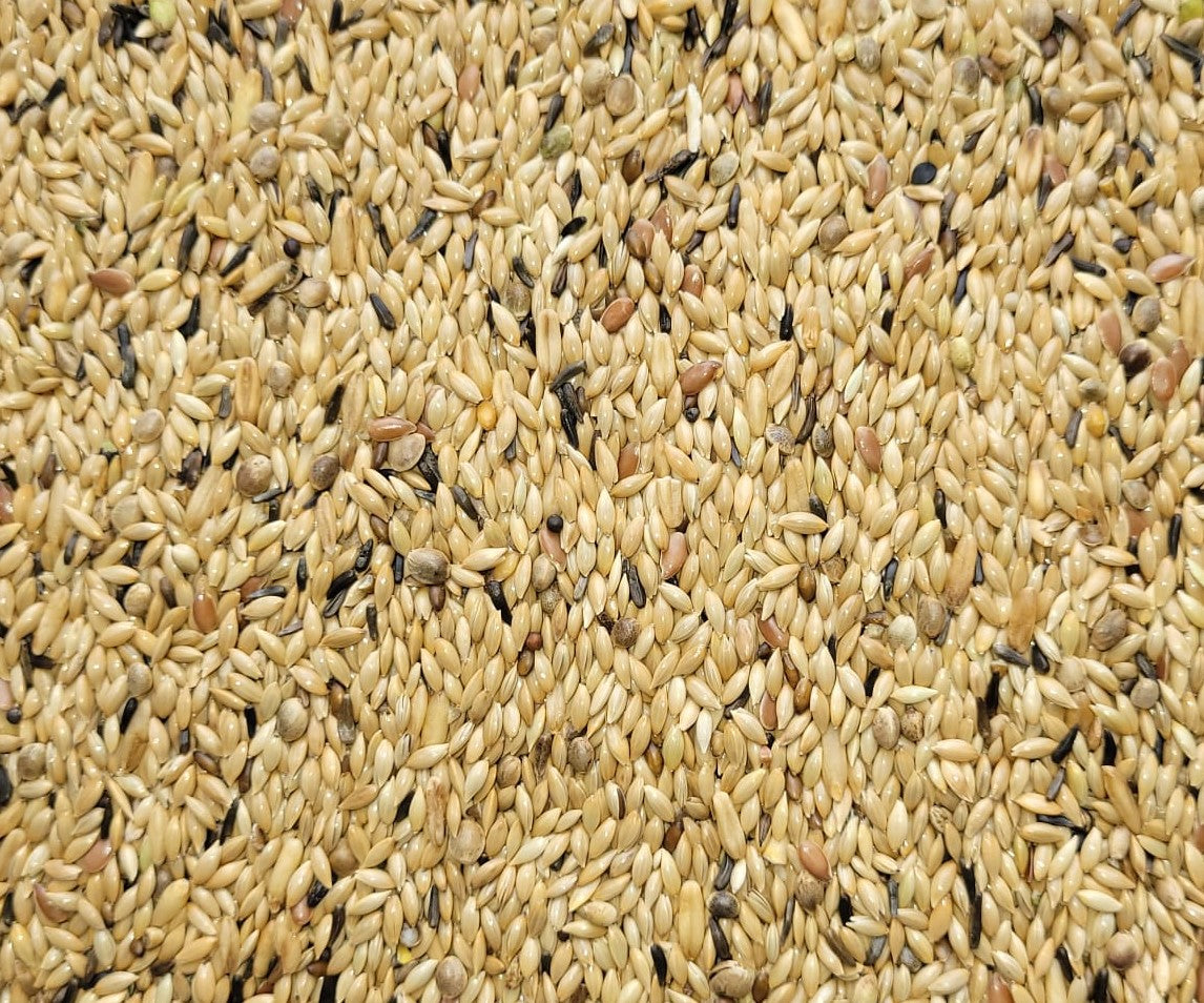 Kanarie "Suprème" zonder Raapzaad PALOMA 20kg