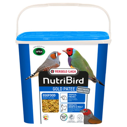 Gold Patee Tropische Vogels