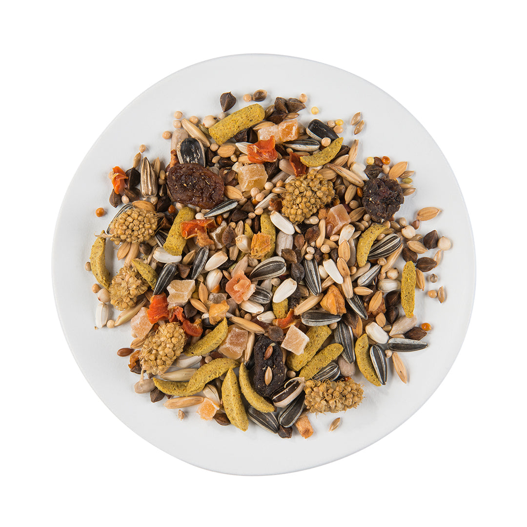 Puur grote parkiet & kaketoe