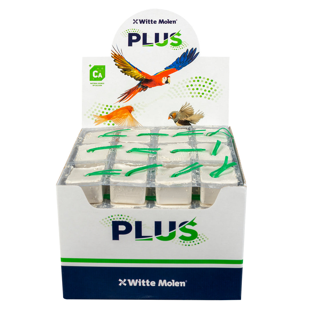 witte molen plus Energie blok Wit