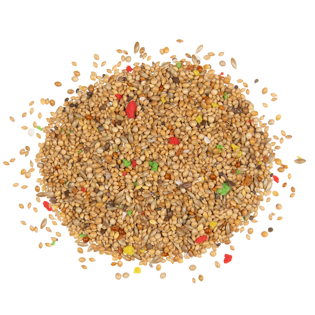 Country Vinkachtigen