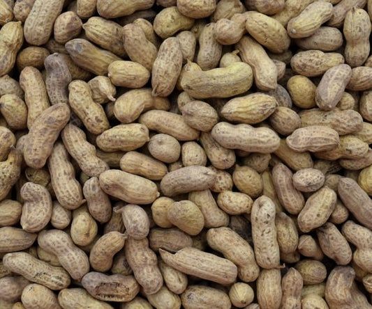 Pinda’s in dop 500gr