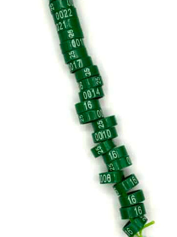 Jaarringen 2026 groen