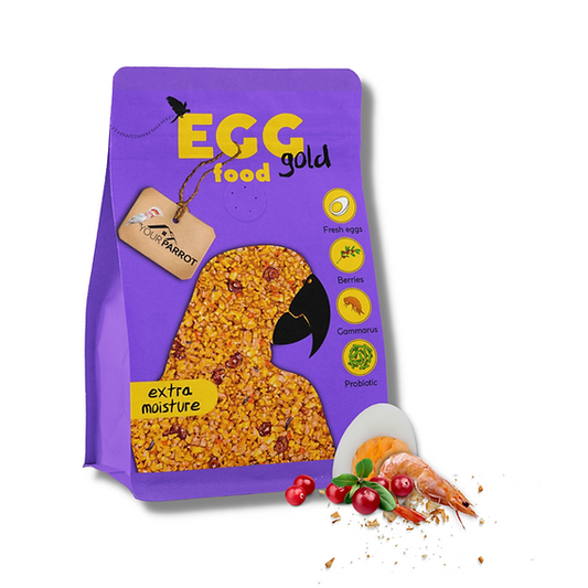 Your Parrot Egg food gold soft
