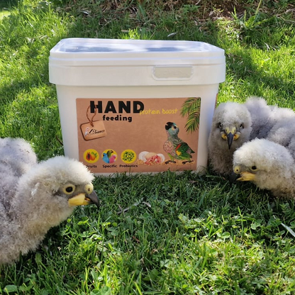 Your Parrot Handopfokvoeding Proteine Boost