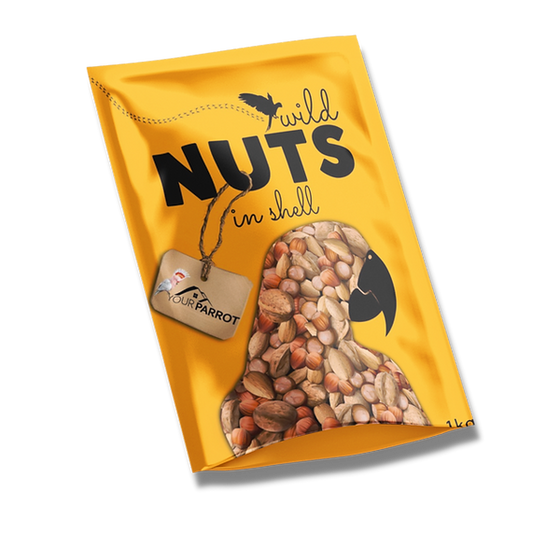 Your Parrot Wild nuts in shell