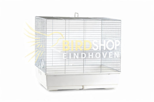 Domus Molinari “Clarabella”