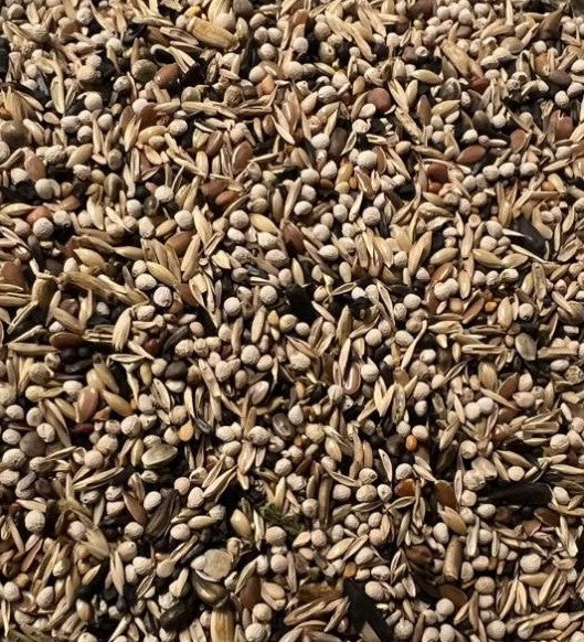 Distelvink Light Birdshop Eindhoven