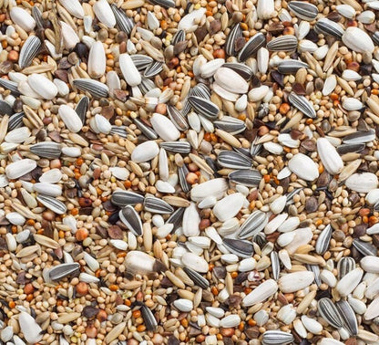 Deli Nature 69 - Grote Parkieten met Zonnepitten