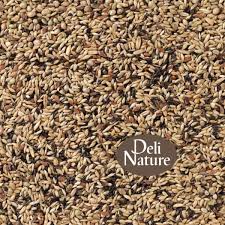 Deli nature 80 Kanaries Kweek zonder Raapzaad
