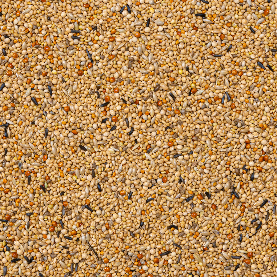 Deli Nature 56 - Tropische Vogels Super