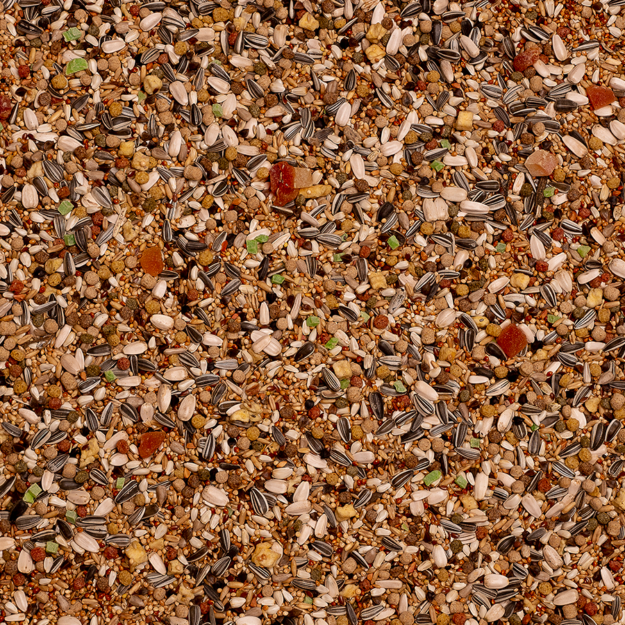 Deli Nature Grote Parkieten Down Under Birdelicious