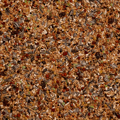 Grote Parkieten Amazonia Birdelicious