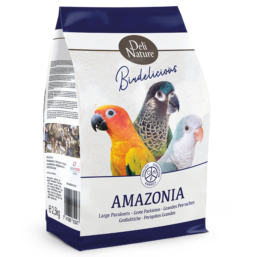 Grote Parkieten Amazonia Birdelicious