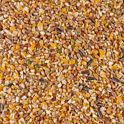 Deli Nature ChiX Poeljengraan 4kg