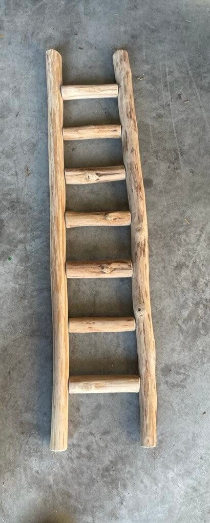 Java Ladder