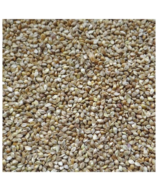 Japanse millet