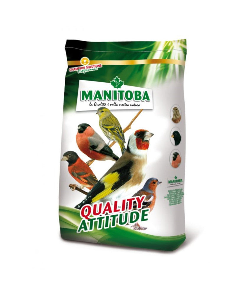 Manitoba American Redbird - kardinalenvoer