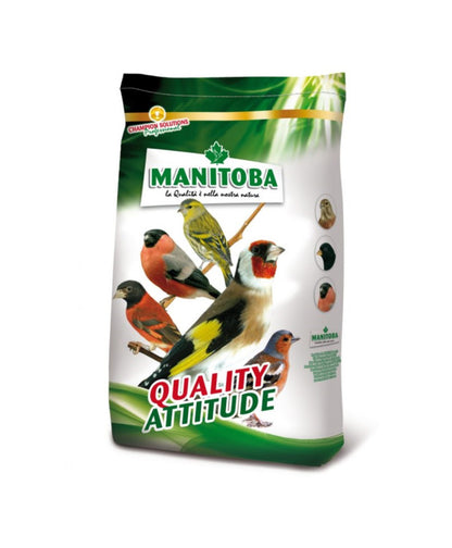 Manitoba American Redbird - kardinalenvoer