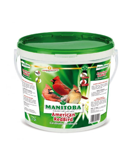 Manitoba American Redbird - kardinalenvoer
